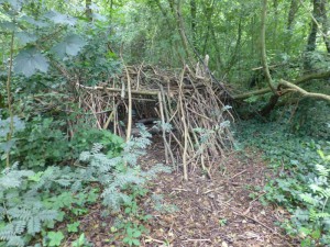 Heinistuin hut