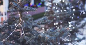 kerstmis op de herven