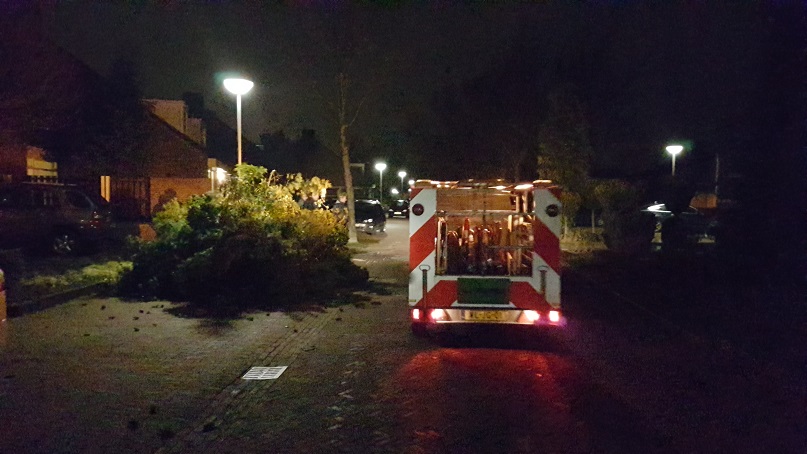 De brandweer moest er donderdag aan te pas komen om een boom om te zagen die op een huis dreigde te vallen.
